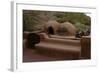 Reproduction of an Old Adobe Ovens for Making Bread, Petroglyph National Monument, United States-null-Framed Giclee Print