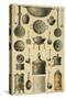 Reproduction of Cooking Utensils-Fausto and Felice Niccolini-Stretched Canvas