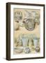 Reproduction of Glass Objects, from the Houses and Monuments of Pompeii-Fausto and Felice Niccolini-Framed Giclee Print