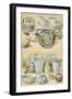 Reproduction of Glass Objects, from the Houses and Monuments of Pompeii-Fausto and Felice Niccolini-Framed Giclee Print