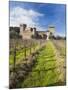 Reproduction of Italian Castle, Castello Di Amoroso Winery, Calistoga, Napa Valley, California, Usa-Walter Bibikow-Mounted Photographic Print