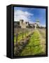 Reproduction of Italian Castle, Castello Di Amoroso Winery, Calistoga, Napa Valley, California, Usa-Walter Bibikow-Framed Stretched Canvas