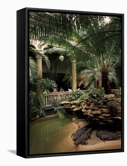 Reptile House at Forest Park, St. Louis Zoo, St. Louis, Missouri, USA-Connie Ricca-Framed Stretched Canvas