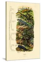 Reptiles, 1833-39-null-Stretched Canvas