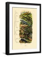 Reptiles, 1833-39-null-Framed Giclee Print