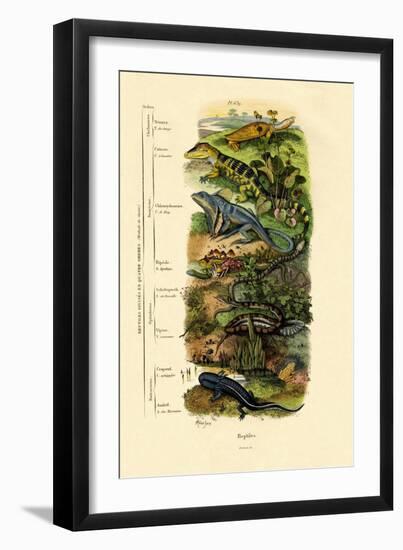 Reptiles, 1833-39-null-Framed Giclee Print