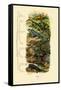 Reptiles, 1833-39-null-Framed Stretched Canvas