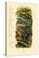Reptiles, 1833-39-null-Stretched Canvas