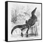 Reptiles, Crocodile-null-Framed Stretched Canvas