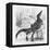 Reptiles, Crocodile-null-Framed Stretched Canvas