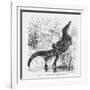 Reptiles, Crocodile-null-Framed Art Print