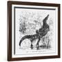 Reptiles, Crocodile-null-Framed Art Print