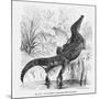 Reptiles, Crocodile-null-Mounted Art Print