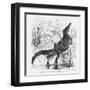 Reptiles, Crocodile-null-Framed Art Print