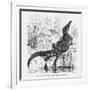 Reptiles, Crocodile-null-Framed Art Print