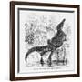 Reptiles, Crocodile-null-Framed Art Print