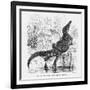 Reptiles, Crocodile-null-Framed Art Print