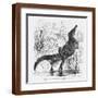 Brown Frame