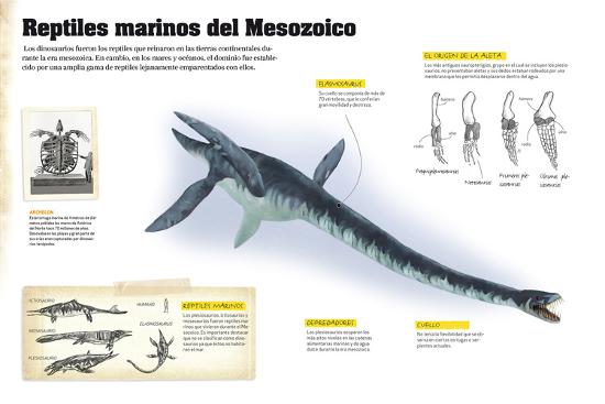 'Reptiles marinos del Mesozoico.' Photographic Print | AllPosters.com