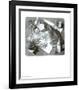 Reptiles-M^ C^ Escher-Framed Art Print