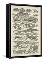 Reptiles-null-Framed Stretched Canvas