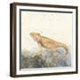 Reptilian II-Alicia Ludwig-Framed Art Print