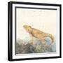 Reptilian II-Alicia Ludwig-Framed Art Print