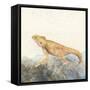 Reptilian II-Alicia Ludwig-Framed Stretched Canvas