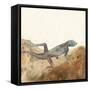 Reptilian III-Alicia Ludwig-Framed Stretched Canvas