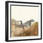 Reptilian III-Alicia Ludwig-Framed Art Print