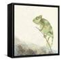 Reptilian IV-Alicia Ludwig-Framed Stretched Canvas