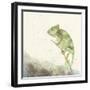 Reptilian IV-Alicia Ludwig-Framed Art Print