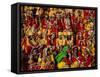 Republic Day Parade, People Dressed in Traditional Costume, Jaipur, Rajasthan, India-Steve Vidler-Framed Stretched Canvas