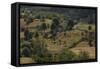 Republic of Albania. Cemetery Near Moscopole-null-Framed Stretched Canvas