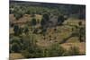 Republic of Albania. Cemetery Near Moscopole-null-Mounted Giclee Print