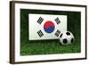 Republic of Korea Soccer-badboo-Framed Art Print