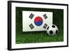 Republic of Korea Soccer-badboo-Framed Art Print