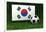 Republic of Korea Soccer-badboo-Framed Art Print