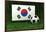 Republic of Korea Soccer-badboo-Framed Art Print