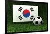 Republic of Korea Soccer-badboo-Framed Art Print