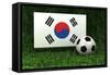 Republic of Korea Soccer-badboo-Framed Stretched Canvas