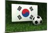 Republic of Korea Soccer-badboo-Mounted Premium Giclee Print