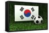 Republic of Korea Soccer-badboo-Framed Stretched Canvas