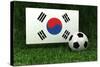 Republic of Korea Soccer-badboo-Stretched Canvas