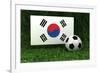 Republic of Korea Soccer-badboo-Framed Art Print