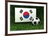 Republic of Korea Soccer-badboo-Framed Art Print