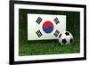 Republic of Korea Soccer-badboo-Framed Art Print