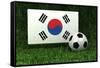 Republic of Korea Soccer-badboo-Framed Stretched Canvas