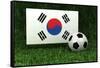 Republic of Korea Soccer-badboo-Framed Stretched Canvas