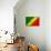 Republic of The Congo Flag Design with Wood Patterning - Flags of the World Series-Philippe Hugonnard-Mounted Art Print displayed on a wall